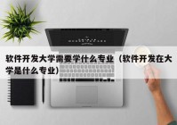 軟件開(kāi)發(fā)大學(xué)需要學(xué)什么專(zhuān)業(yè)（軟件開(kāi)發(fā)在大學(xué)是什么專(zhuān)業(yè)）