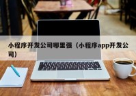 小程序開發(fā)公司哪里強（小程序app開發(fā)公司）