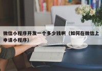 微信小程序開發(fā)一個(gè)多少錢?。ㄈ绾卧谖⑿派仙暾?qǐng)小程序）