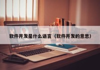 軟件開發(fā)是什么語(yǔ)言（軟件開發(fā)的意思）