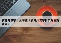 軟件開(kāi)發(fā)學(xué)什么專(zhuān)業(yè)（軟件開(kāi)發(fā)學(xué)什么專(zhuān)業(yè)好就業(yè)）
