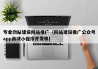 專業(yè)網(wǎng)站建設(shè)網(wǎng)站推廣（網(wǎng)站建設(shè)推廣公眾號(hào)app商城小程序開(kāi)發(fā)等）